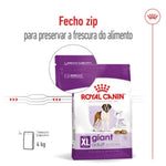 RCGADL15