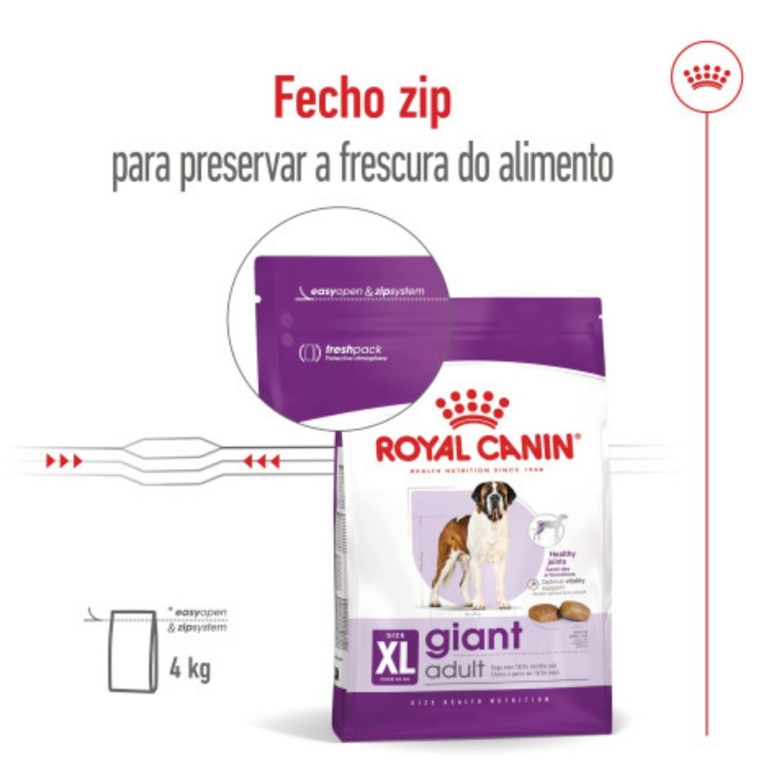 RCGADL15