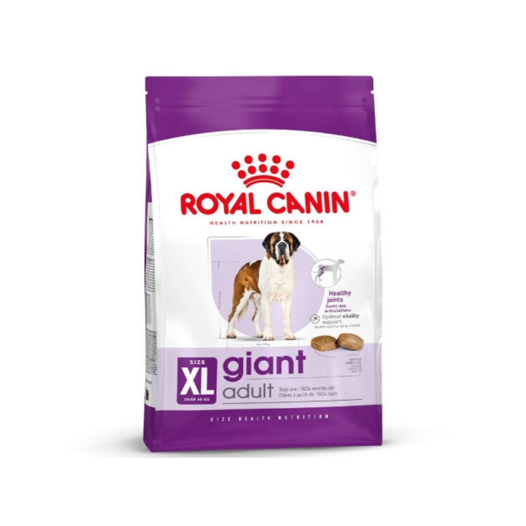 RCGADL15