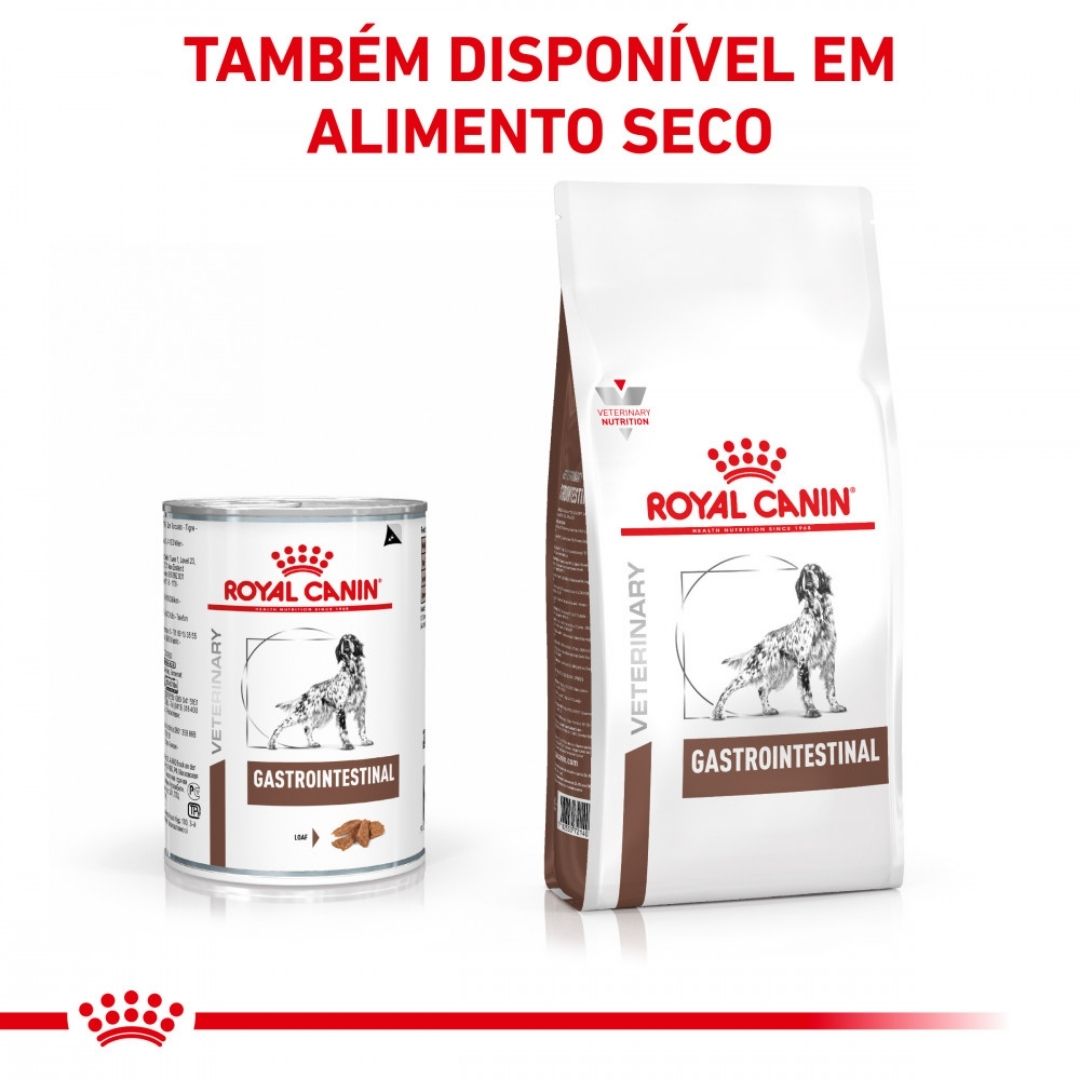 RCGASIN04