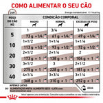 RCGASIN04