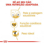 RCGOLD12