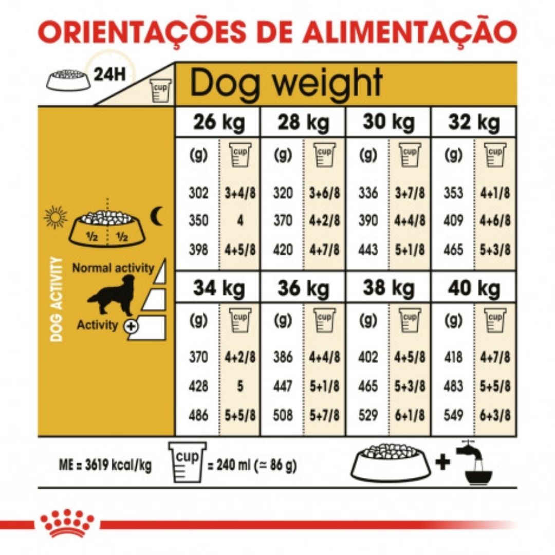 RCGOLD12