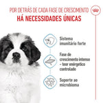 RCGPUPP15