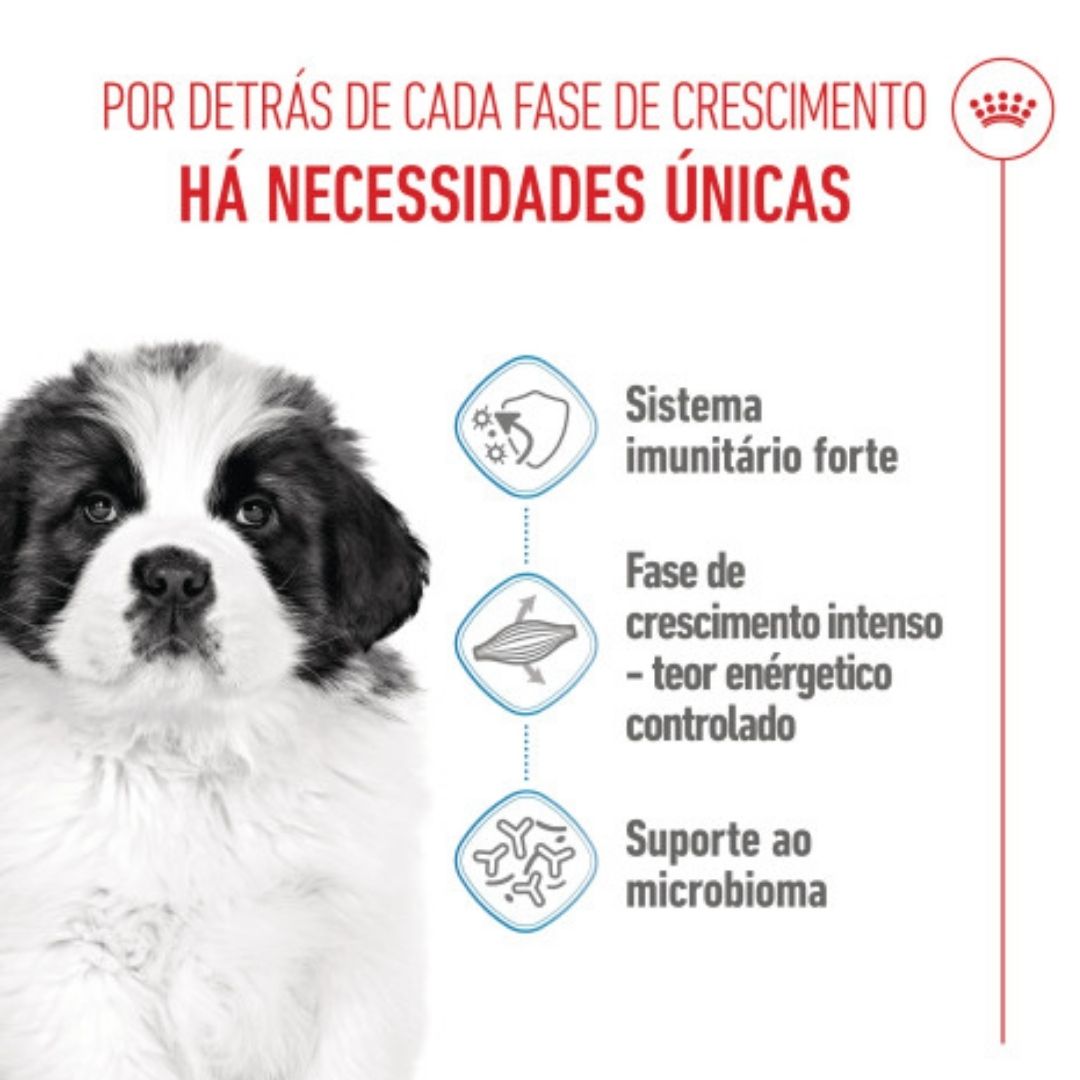 RCGPUPP15