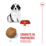 RCGPUPP15