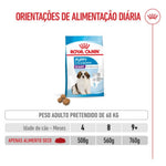 RCGPUPP15
