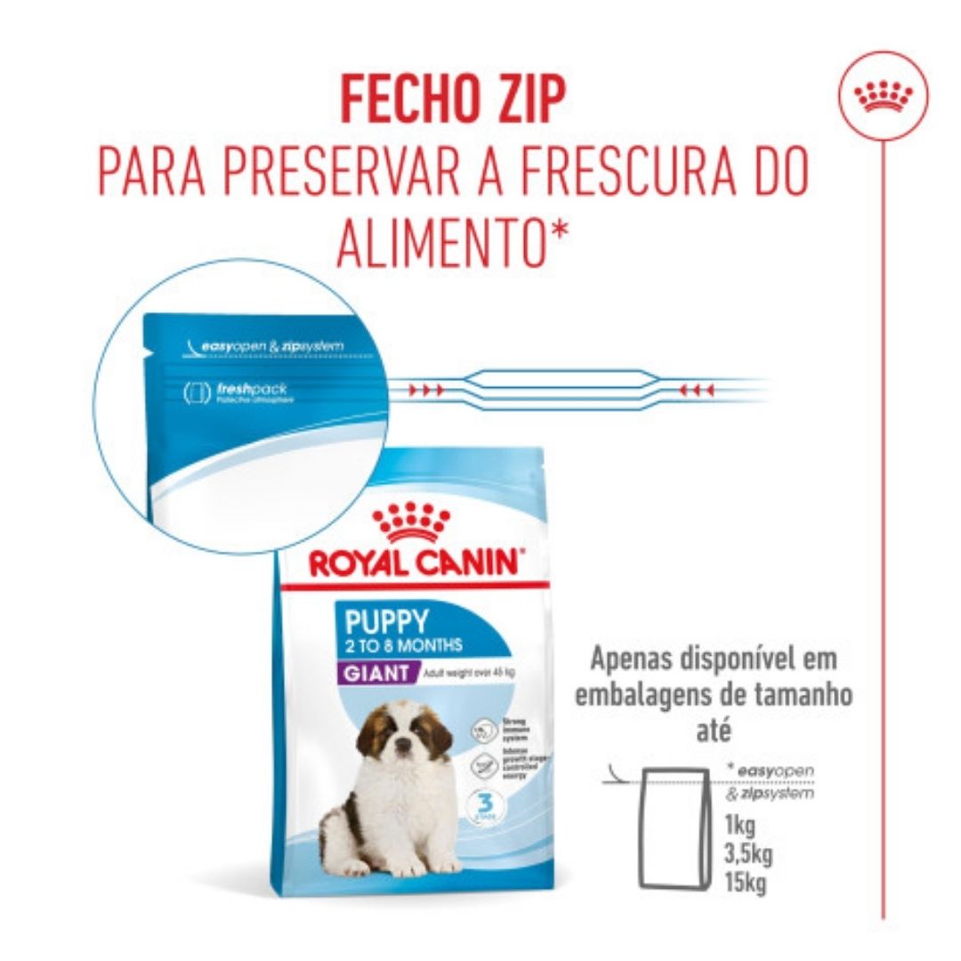 RCGPUPP15