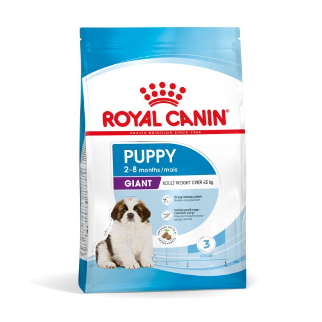 RCGPUPP15