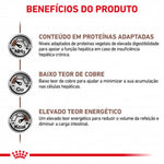 RCHEPA15