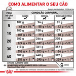 RCHEPA15