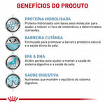RCHIPOA02
