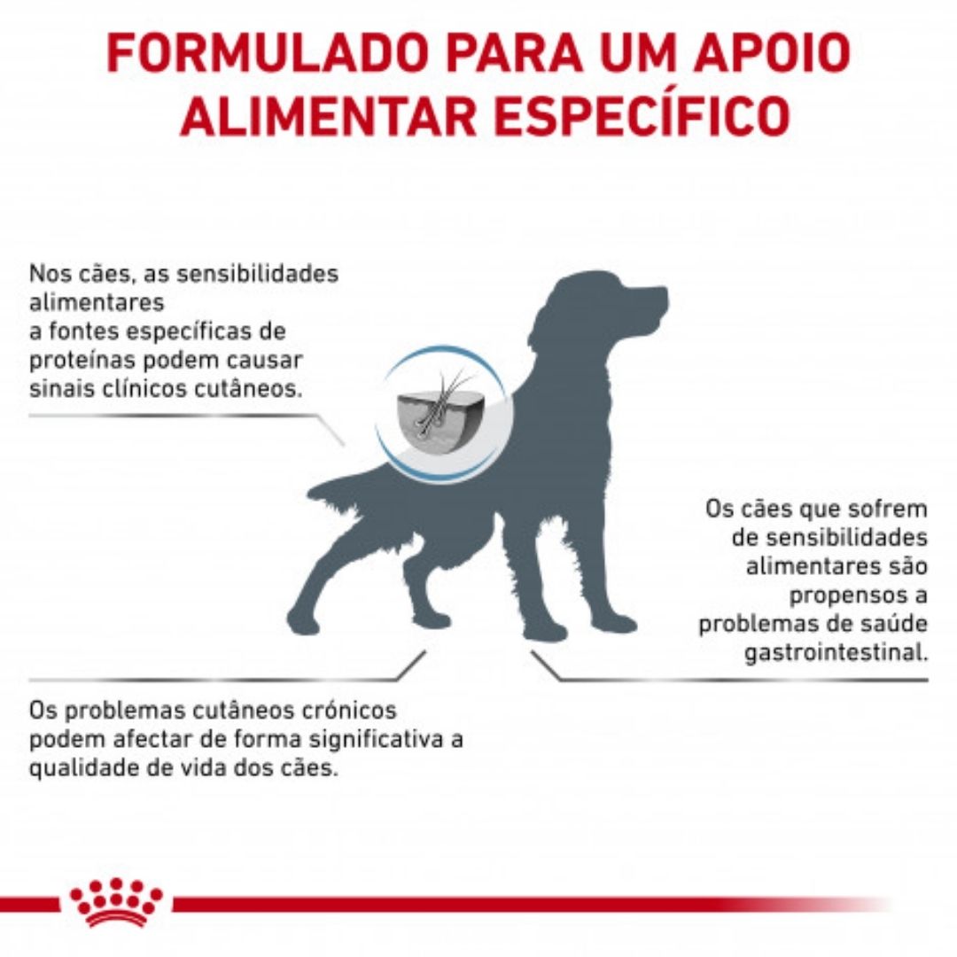 RCHIPOA02