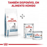 RCHIPOA02