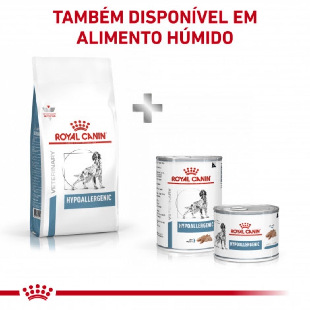 RCHIPOA02