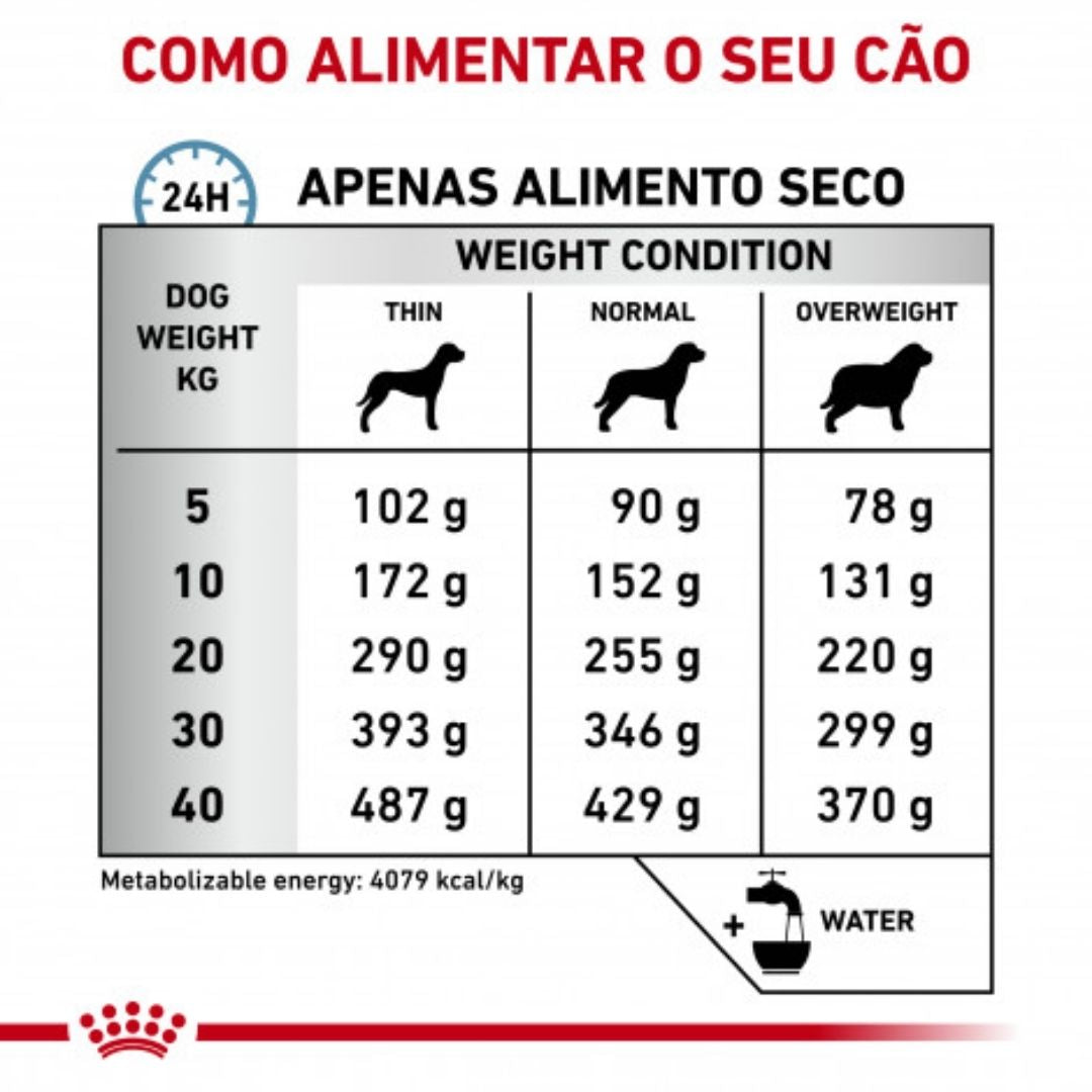 RCHIPOA02