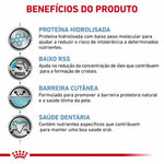 RCHIPOS01