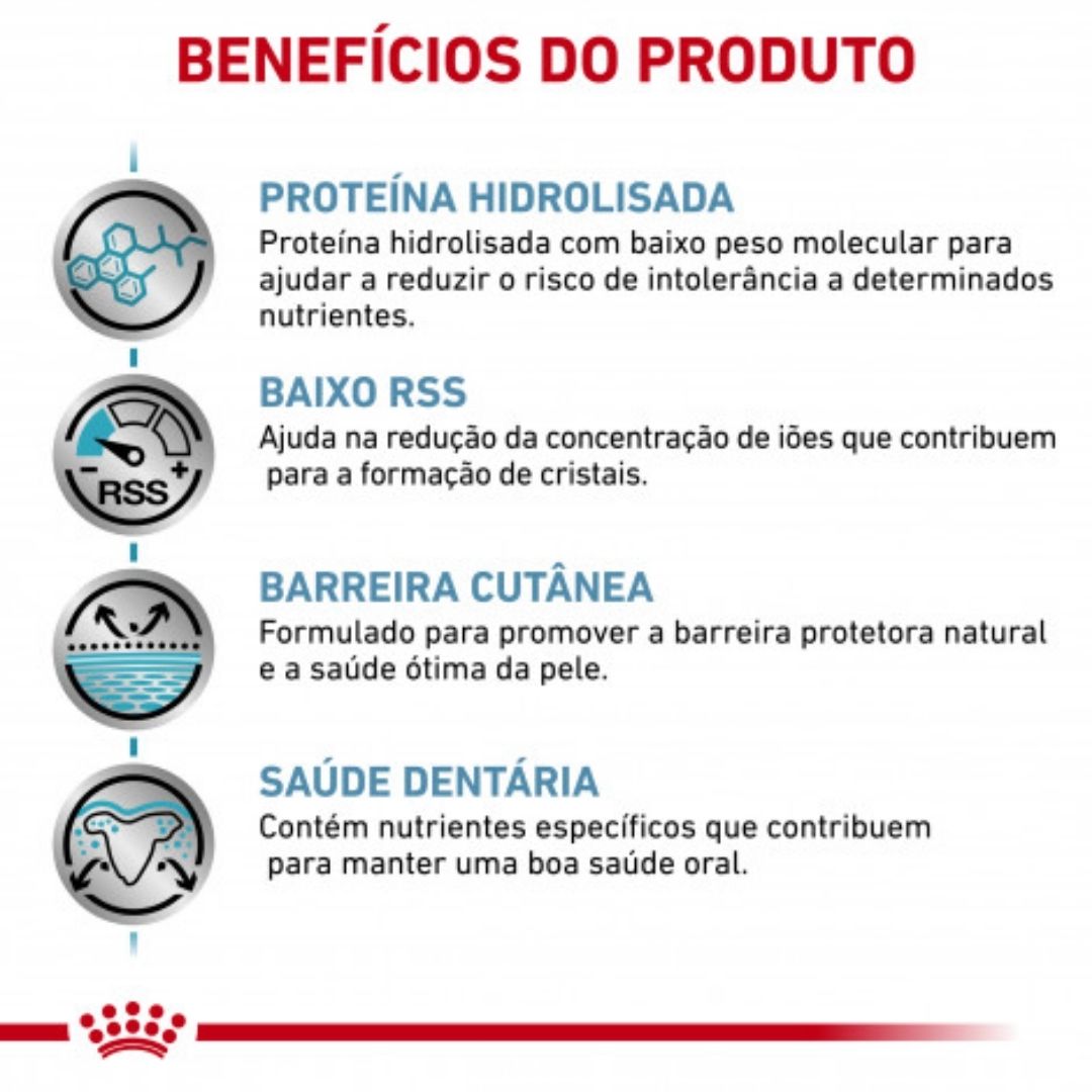RCHIPOS01