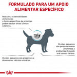 RCHIPOS01