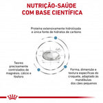RCHIPOS01