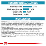 RCHIPOS01