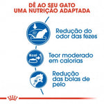 RCINDO400