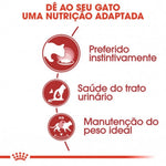 RCINSLO12