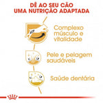 RCJARUAD3