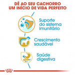 RCJARUJU3