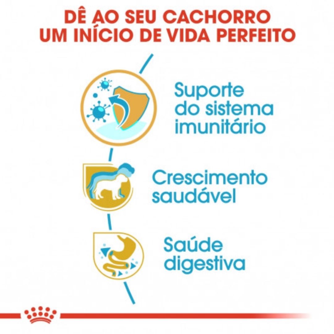 RCJARUJU3
