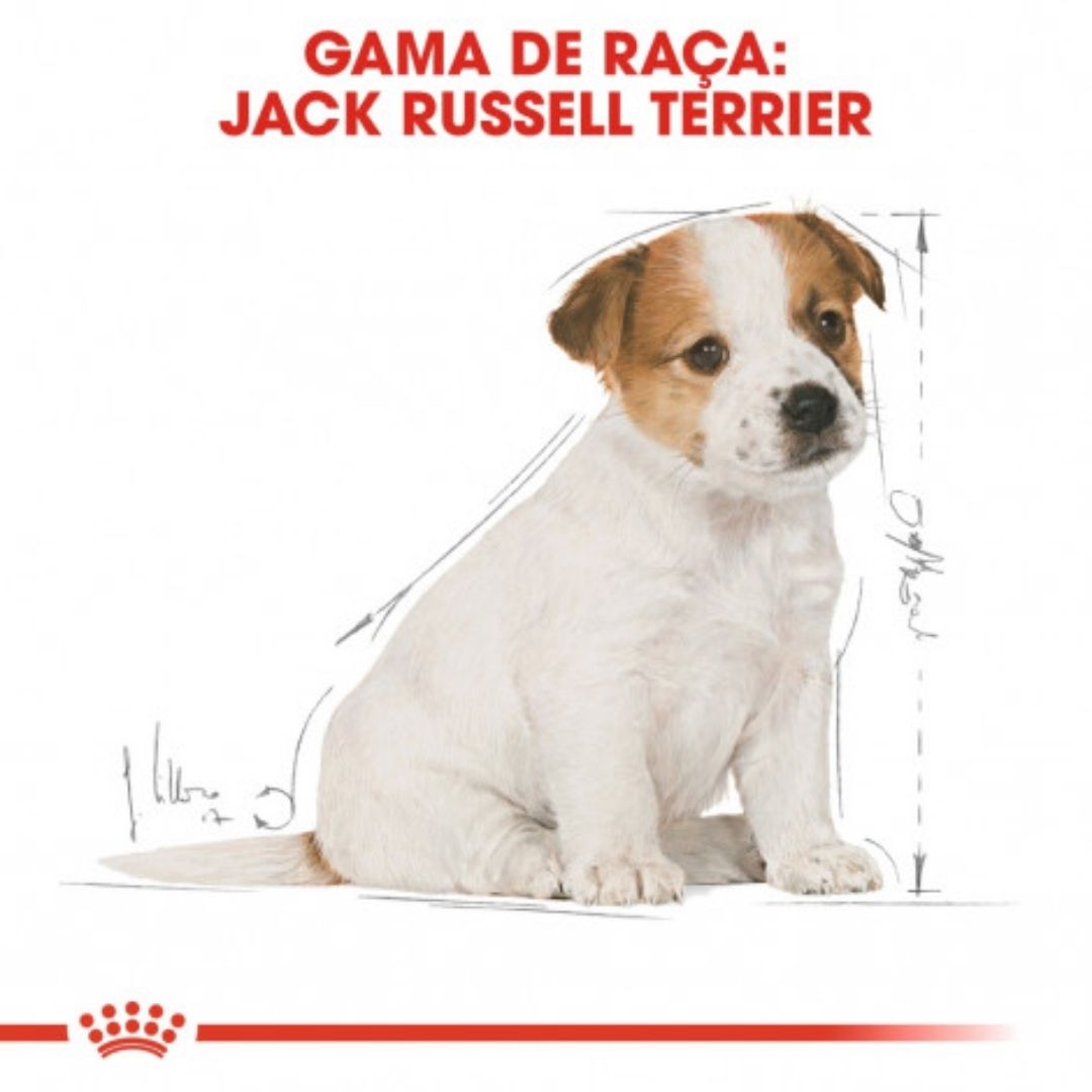 RCJARUJU3