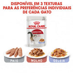 RCKIJE85G