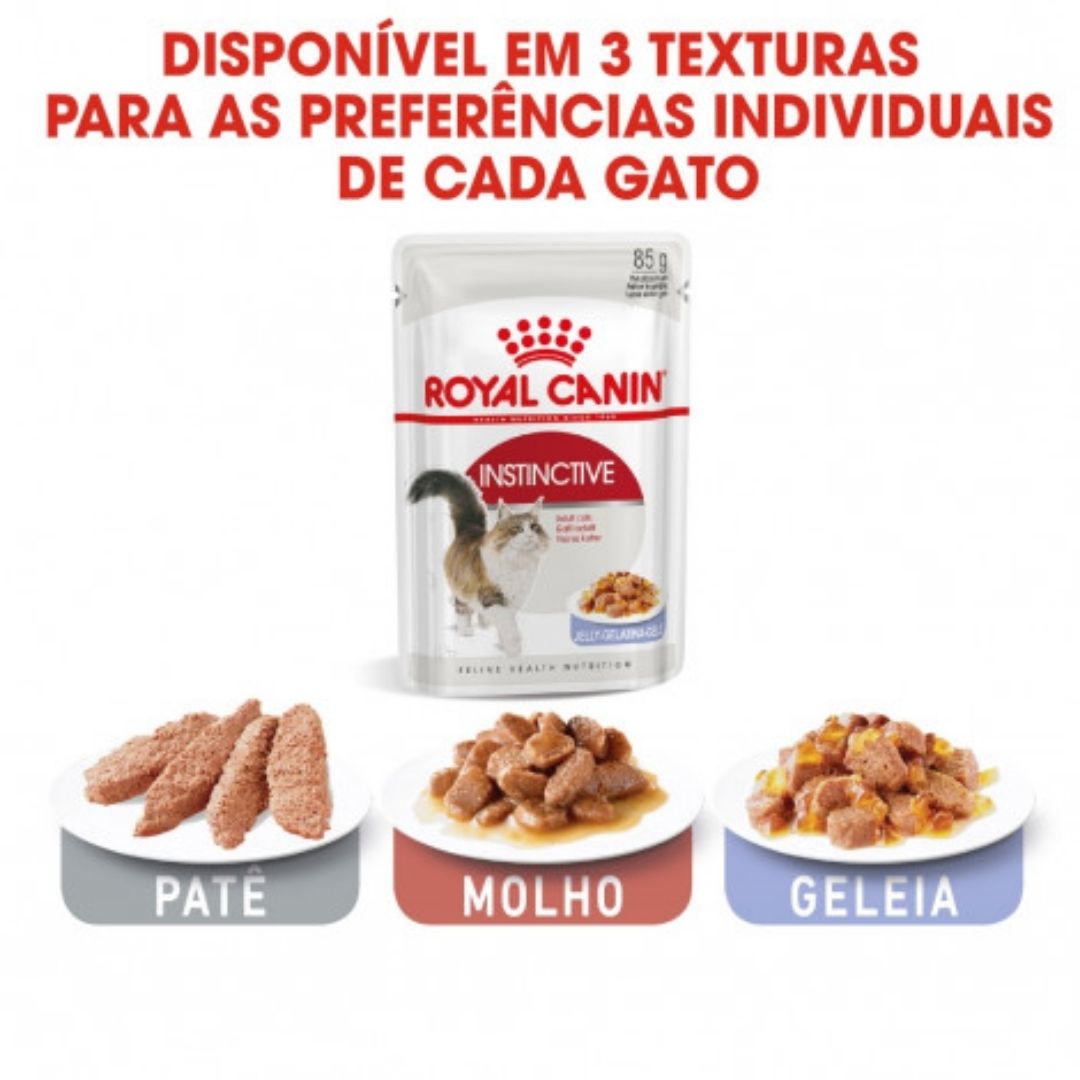 RCKIJE85G