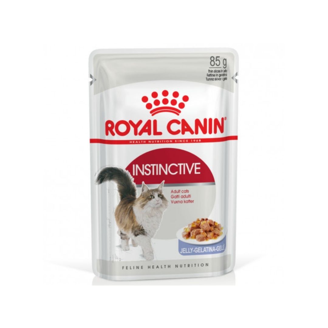 RCKIJE85G