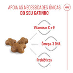 RCKIT400