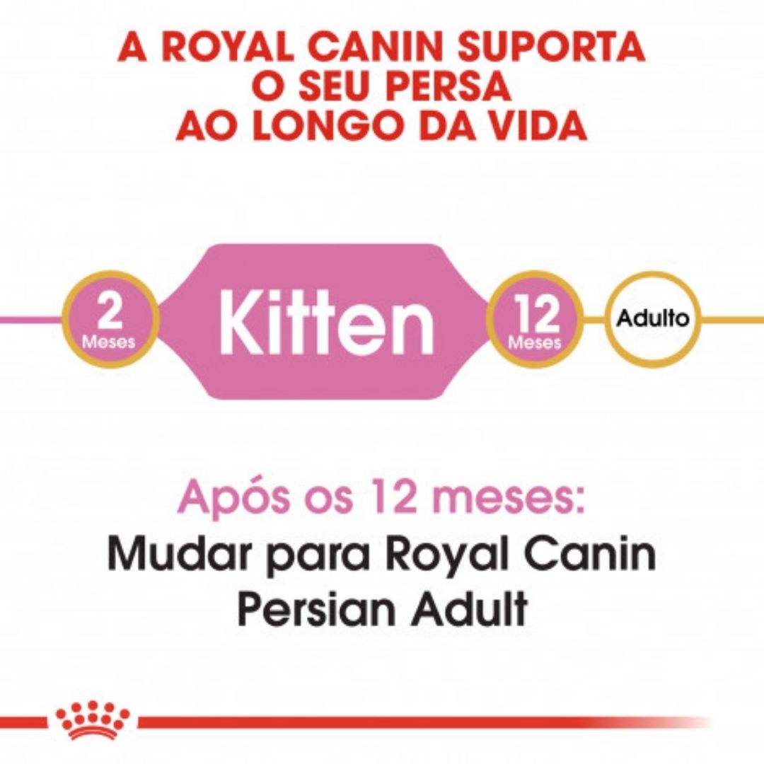 RCKITPERSI002