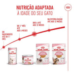 RCKKIJE85
