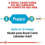 RCLAVRA03