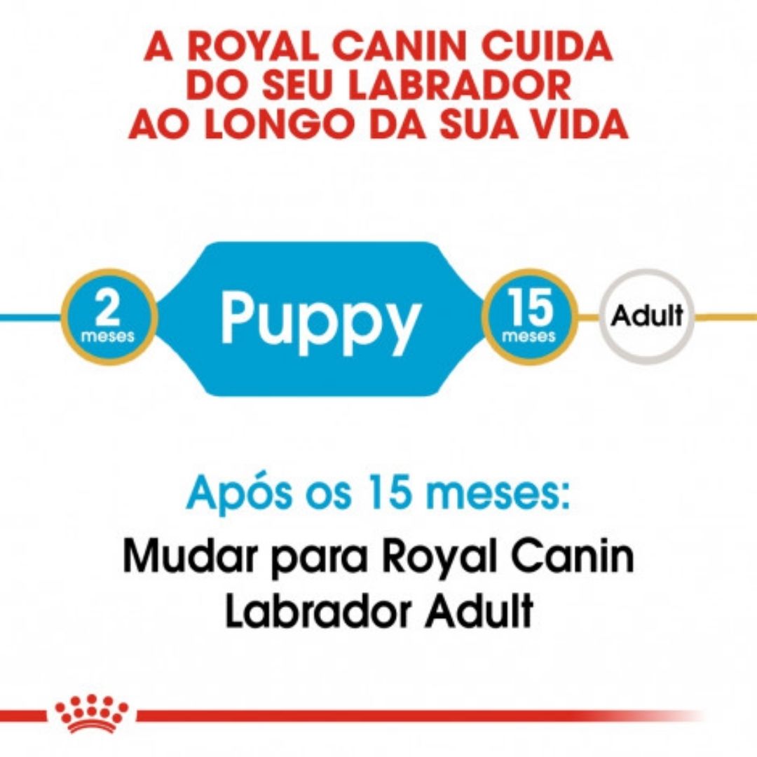 RCLAVRA03