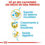 RCLAVRA03