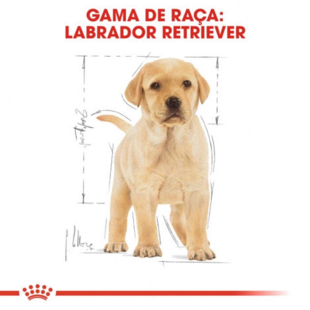 RCLAVRA03