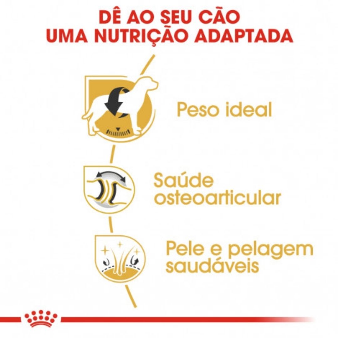 RCLAVRADORE03