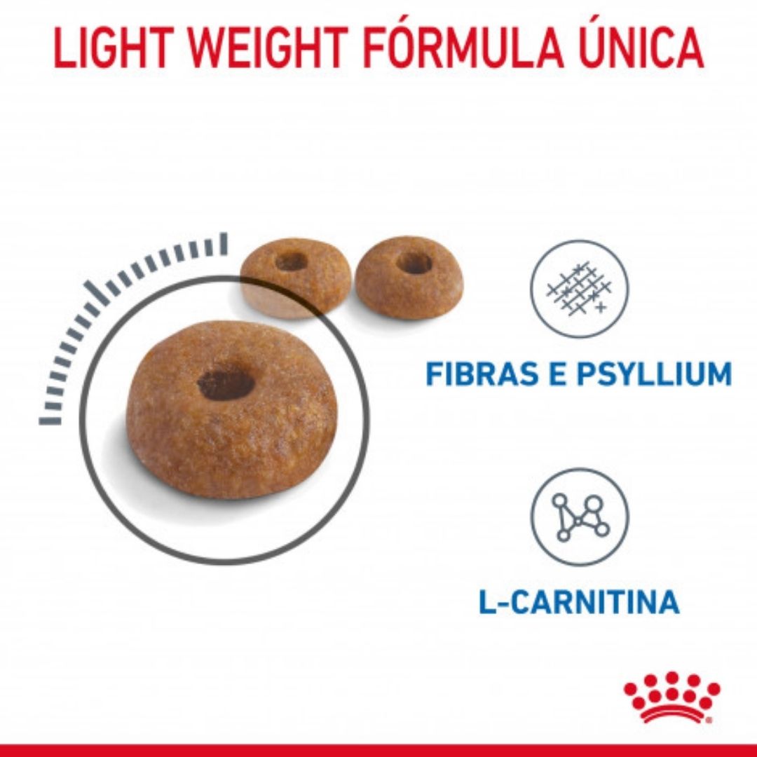 RCLIGHT400