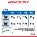 RCLIGHT400