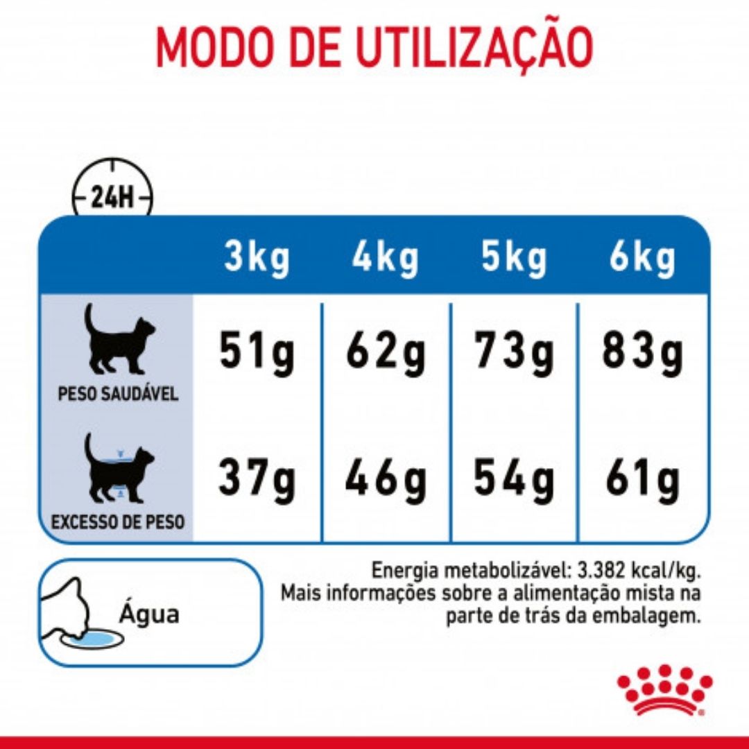 RCLIGHT400