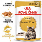 RCMAINE85