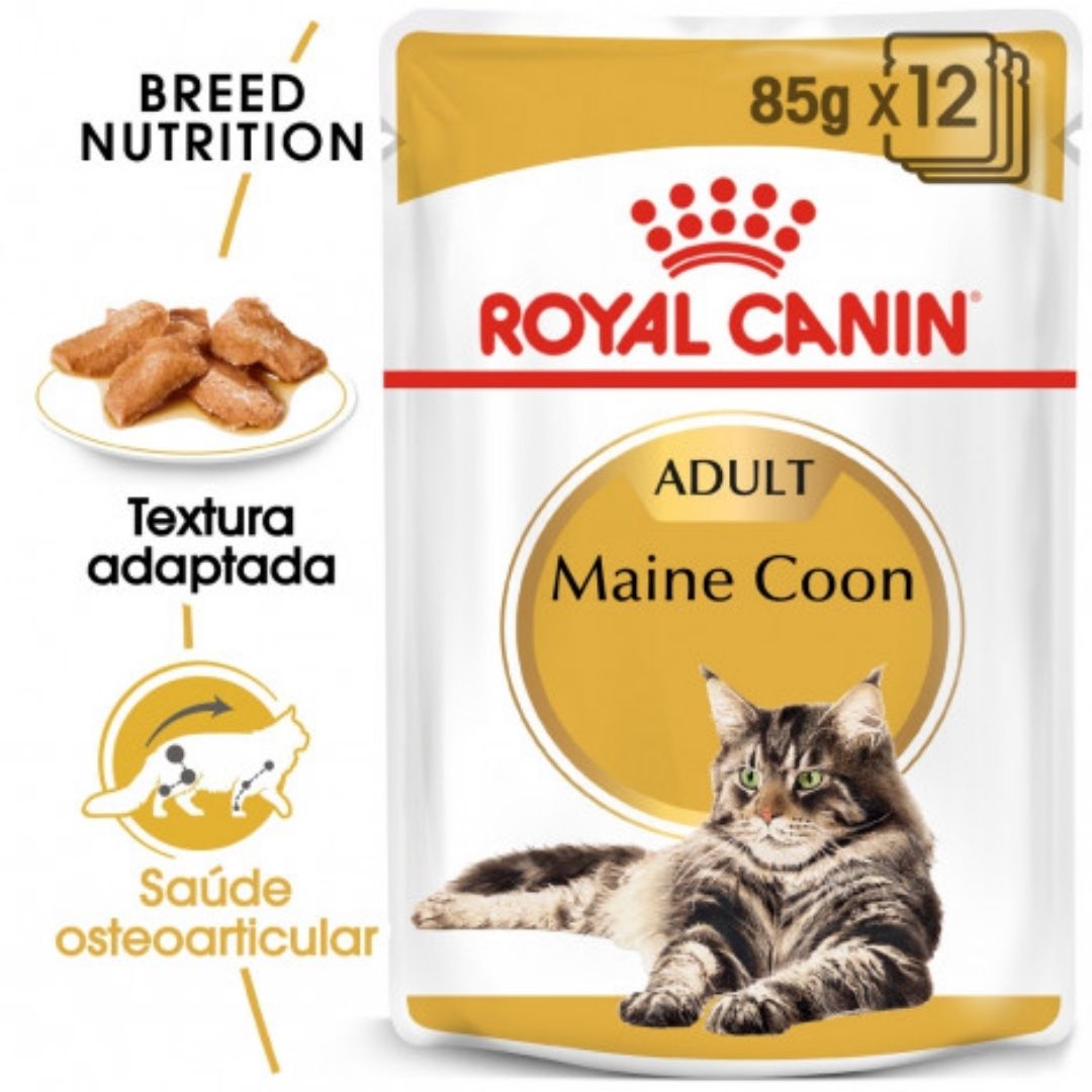 RCMAINE85