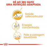 RCMAINE85
