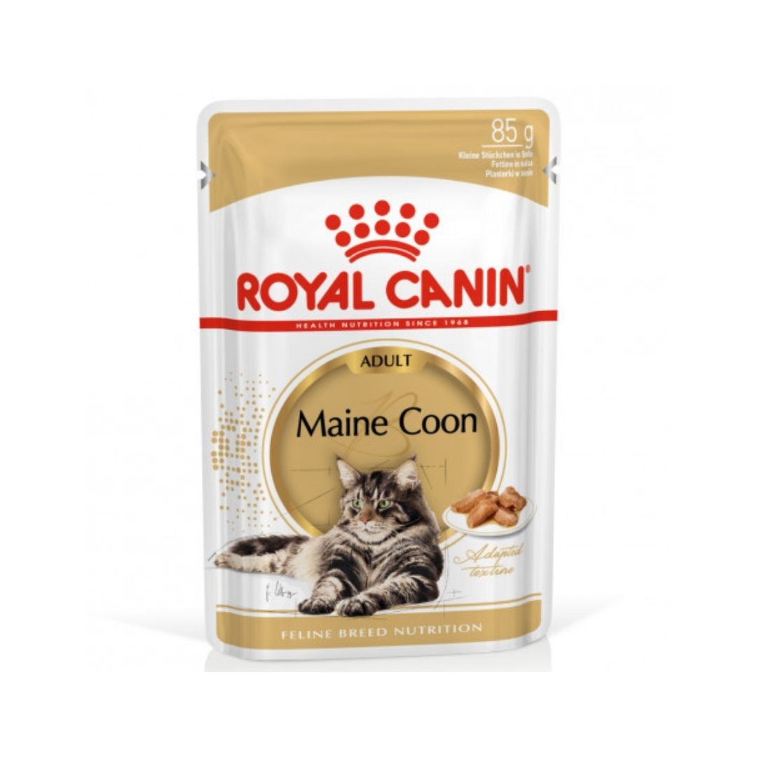 RCMAINE85