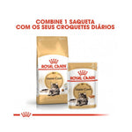 RCMAINECO004